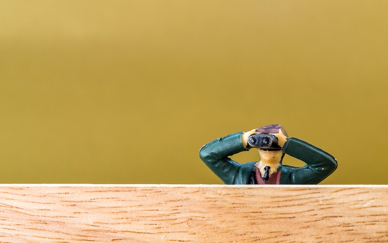 More information about "Steady Condors 2013 - Year in Review"