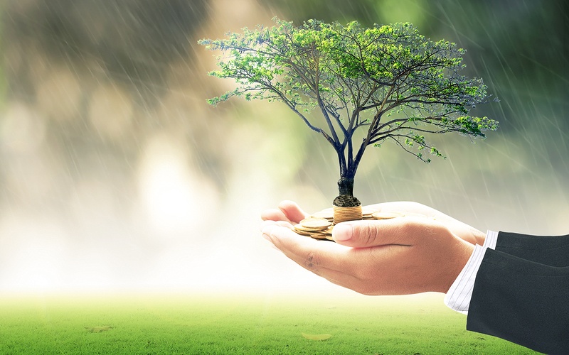 More information about "Uncovering the Covered Call"