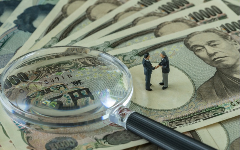 More information about "Why not do it yourself?"