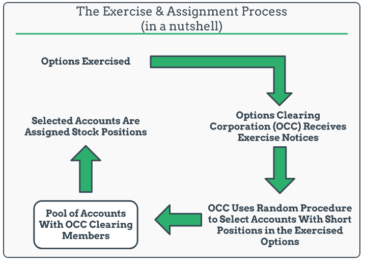 risk of assignment options